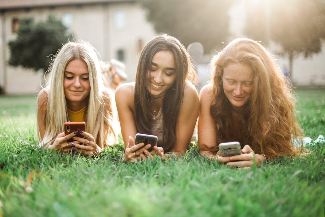 Free Female friends browsing smartphone on lawn Stock Photo